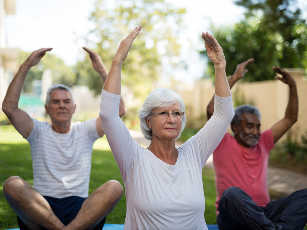 Learn About 8 Fun Senior Activities MySeniorAssistance
